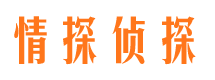 雁峰市侦探调查公司